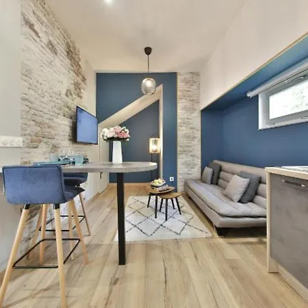 La Peniche De Fabrice Avec Jacuzzi Privatif Appartement Strasbourg